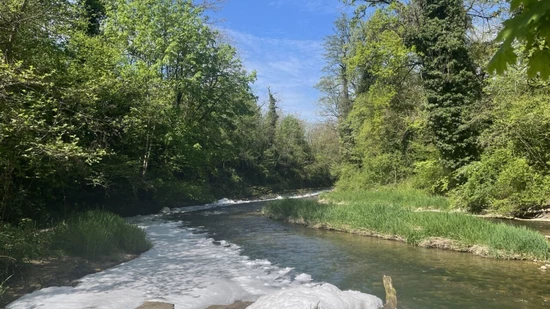Die Ergolz war auf mehreren hundert Metern von einem weissen Schaum bedeckt. Die Ergolz war auf mehreren hundert Metern von einem weissen Schaum bedeckt.