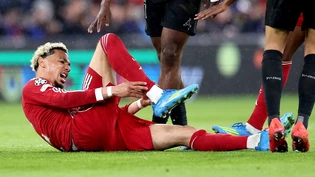 Bittere Diagnose für Liverpool und das französische Nationalteam: Stürmer Hugo Ekitiké fällt mit einem Achillessehnenriss lange aus Bittere Diagnose für Liverpool und das französische Nationalteam: Stürmer Hugo Ekitiké fällt mit einem Achillessehnenriss lange aus