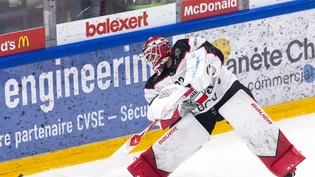 Goalie Kevin Pasche verlängert seinen Vertrag in Lausanne Goalie Kevin Pasche verlängert seinen Vertrag in Lausanne