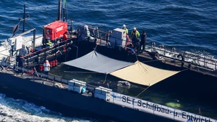 Der Buckelwal wird in seiner Barge vom Schlepper Fortuna B entlang der dänischen Küste in Höhe Aarhus in Richtung Nordsee durch die Ostsee gezogen, die Robin Hood begleitet den Konvoi weiterhin.(Luftaufnahme aus Flugzeug) Foto: Christoph Reichwein/dpa Der Buckelwal wird in seiner Barge vom Schlepper Fortuna B entlang der dänischen Küste in Höhe Aarhus in Richtung Nordsee durch die Ostsee gezogen, die Robin Hood begleitet den Konvoi weiterhin.(Luftaufnahme aus Flugzeug) Foto: Christoph Reichwein/dpa