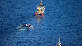 Der Buckelwal wird in seiner Barge vom Schlepper Fortuna B entlang der dänischen Küste in Höhe Aarhus in Richtung Nordsee durch die Ostsee gezogen, die Robin Hood begleitet den Konvoi weiterhin. Foto: Christoph Reichwein/dpa Der Buckelwal wird in seiner Barge vom Schlepper Fortuna B entlang der dänischen Küste in Höhe Aarhus in Richtung Nordsee durch die Ostsee gezogen, die Robin Hood begleitet den Konvoi weiterhin. Foto: Christoph Reichwein/dpa